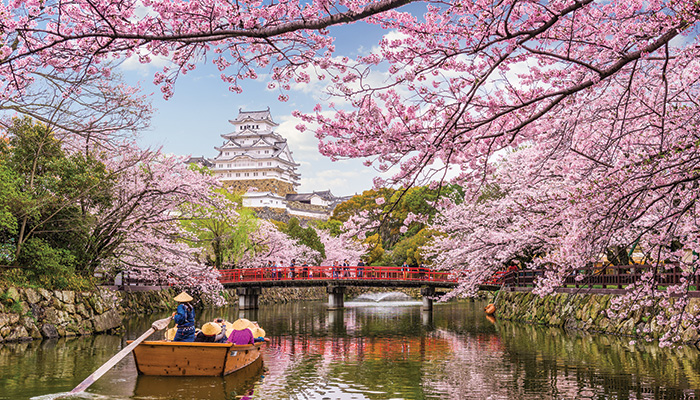 Must-Visit Destinations Across the Globe During Spring